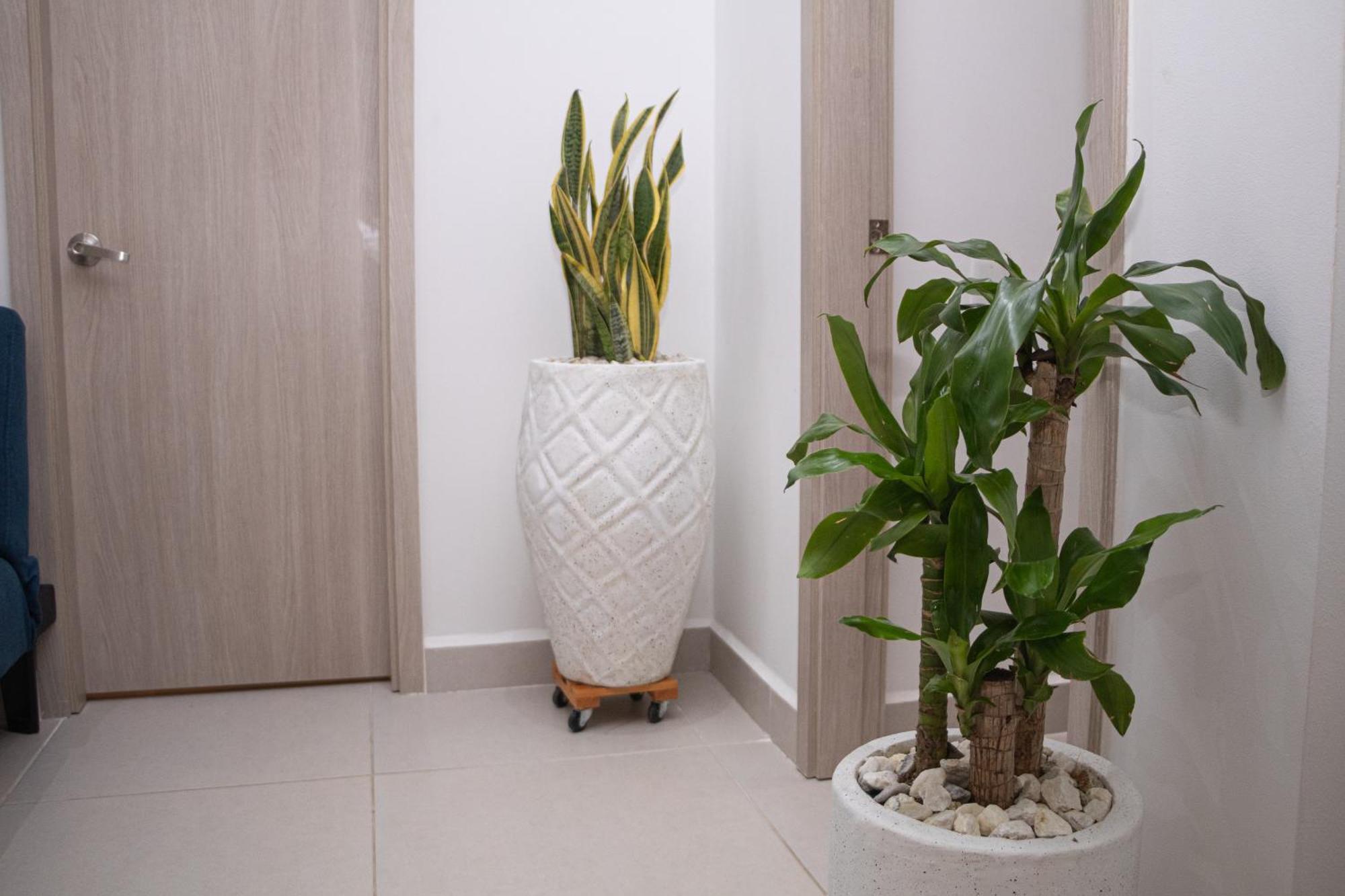 Apartamento De Lujo Frente Al Mar Con Piscina Cartagena Dış mekan fotoğraf